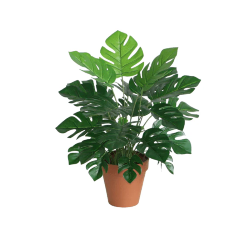 Monstera Kunstig plante - 45 cm