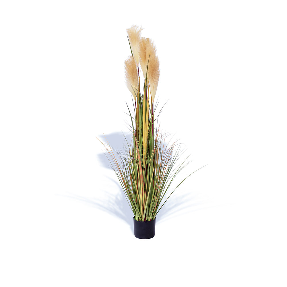 Kunstig Pampasgræs  – 140 cm