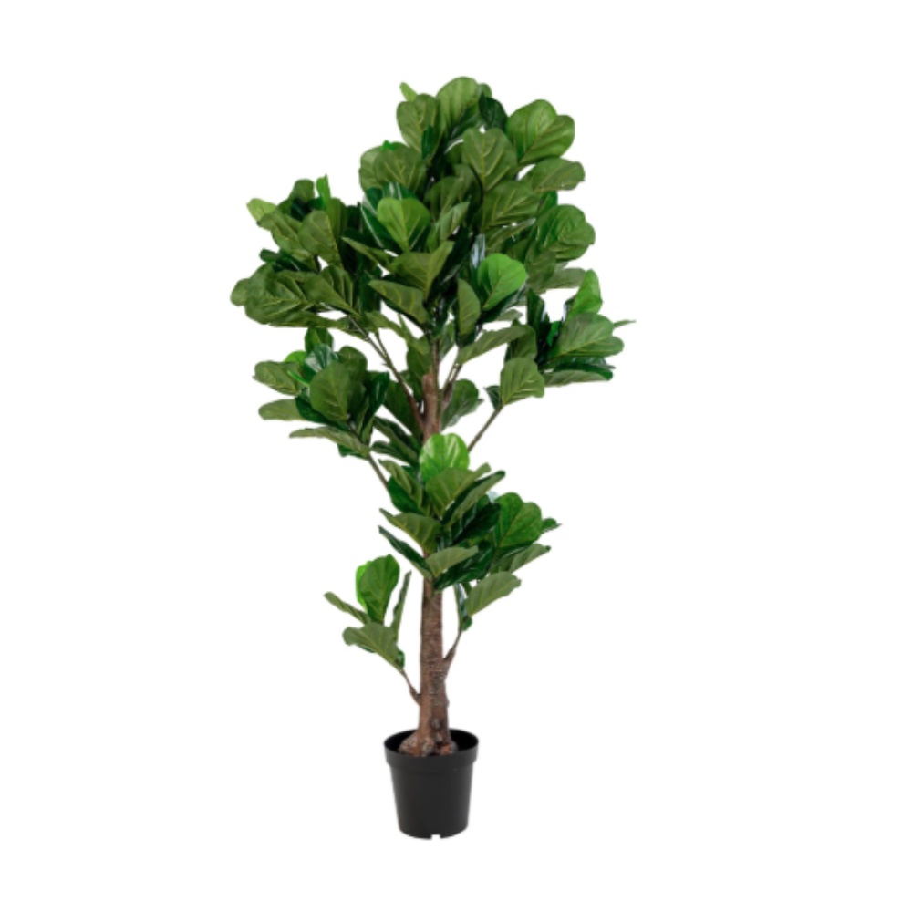 Violinfigen Kunstig plante - 190 cm