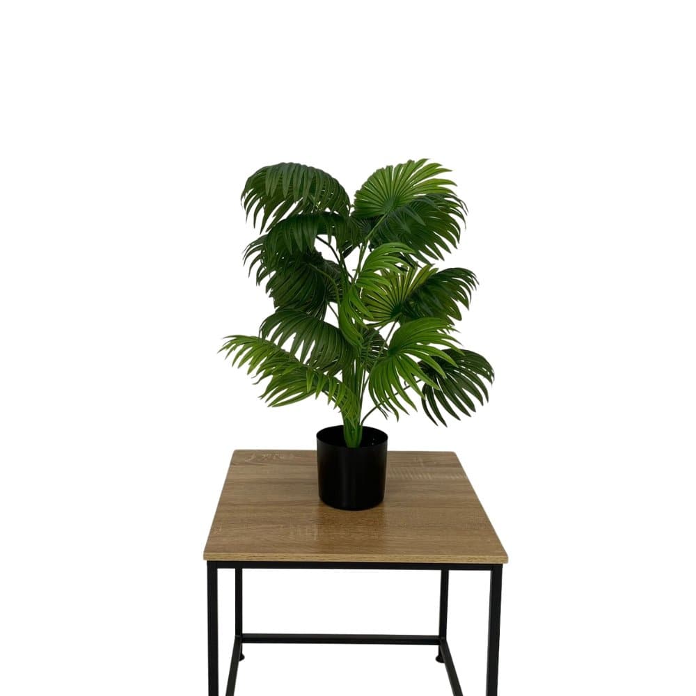 Areca Palme 80 cm - Kunstig plante - Hofstra & Wagner