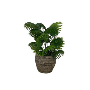 Areca Palme 80 cm - Kunstig plante - Hofstra & Wagner