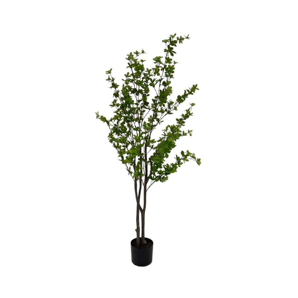 Bladtræ 150 cm - Kunstig plante - Hofstra & Wagner