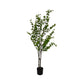 Bladtræ 150 cm - Kunstig plante - Hofstra & Wagner