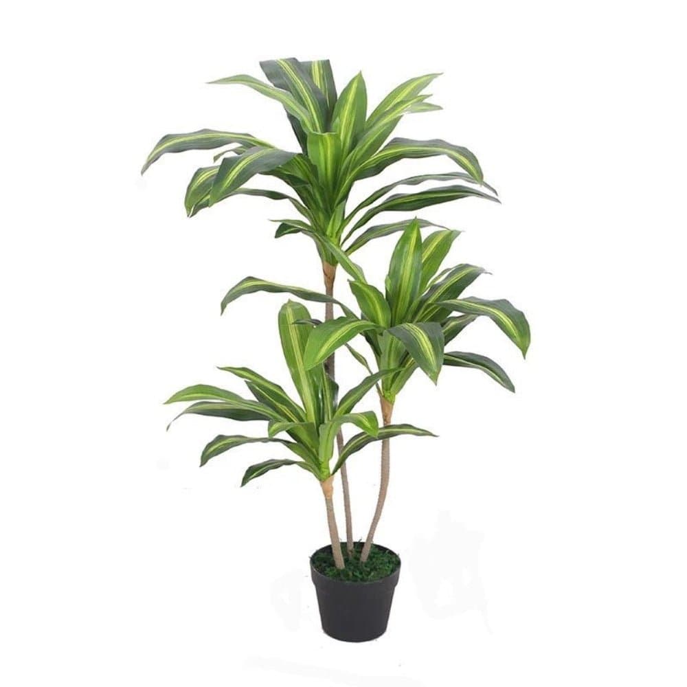 Duftdracaena Plante 100 cm - Kunstig plante - Hofstra & Wagner