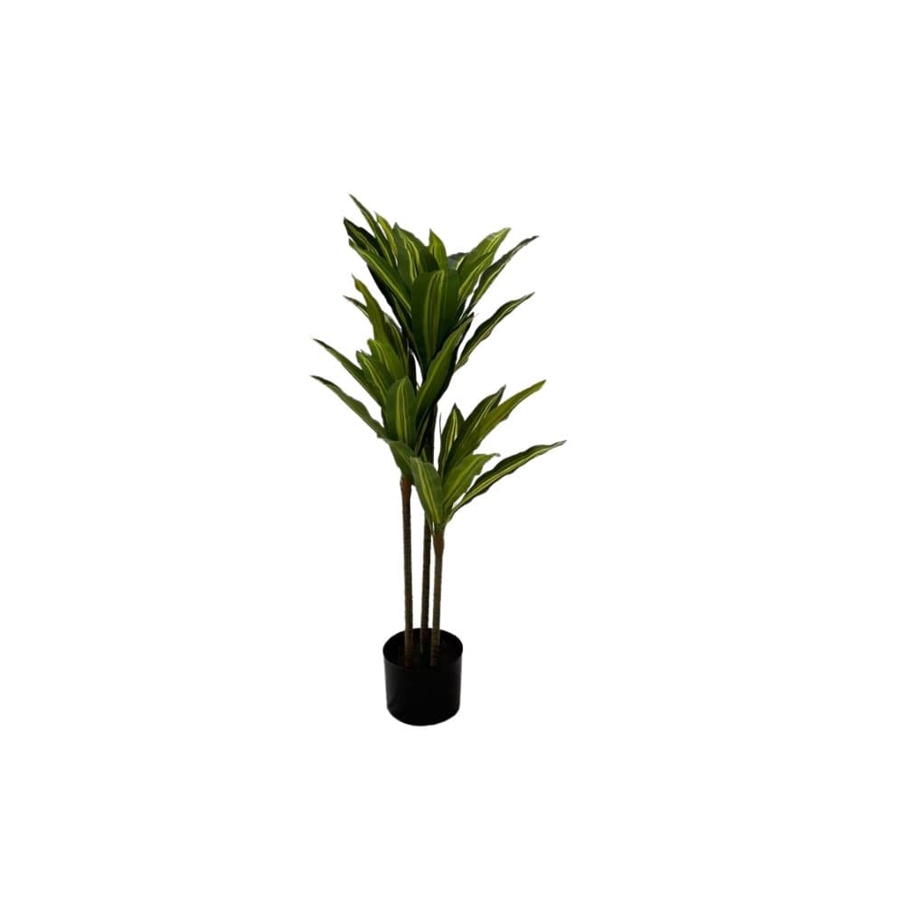 Duftdracaena Plante 100 cm - Kunstig plante - Hofstra & Wagner