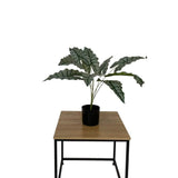 Elefant øre Plante 73 cm - Kunstig plante - Hofstra & Wagner