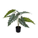 Elefant øre Plante 73 cm - Kunstig plante - Hofstra & Wagner