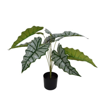 Elefant øre Plante 73 cm - Kunstig plante - Hofstra & Wagner
