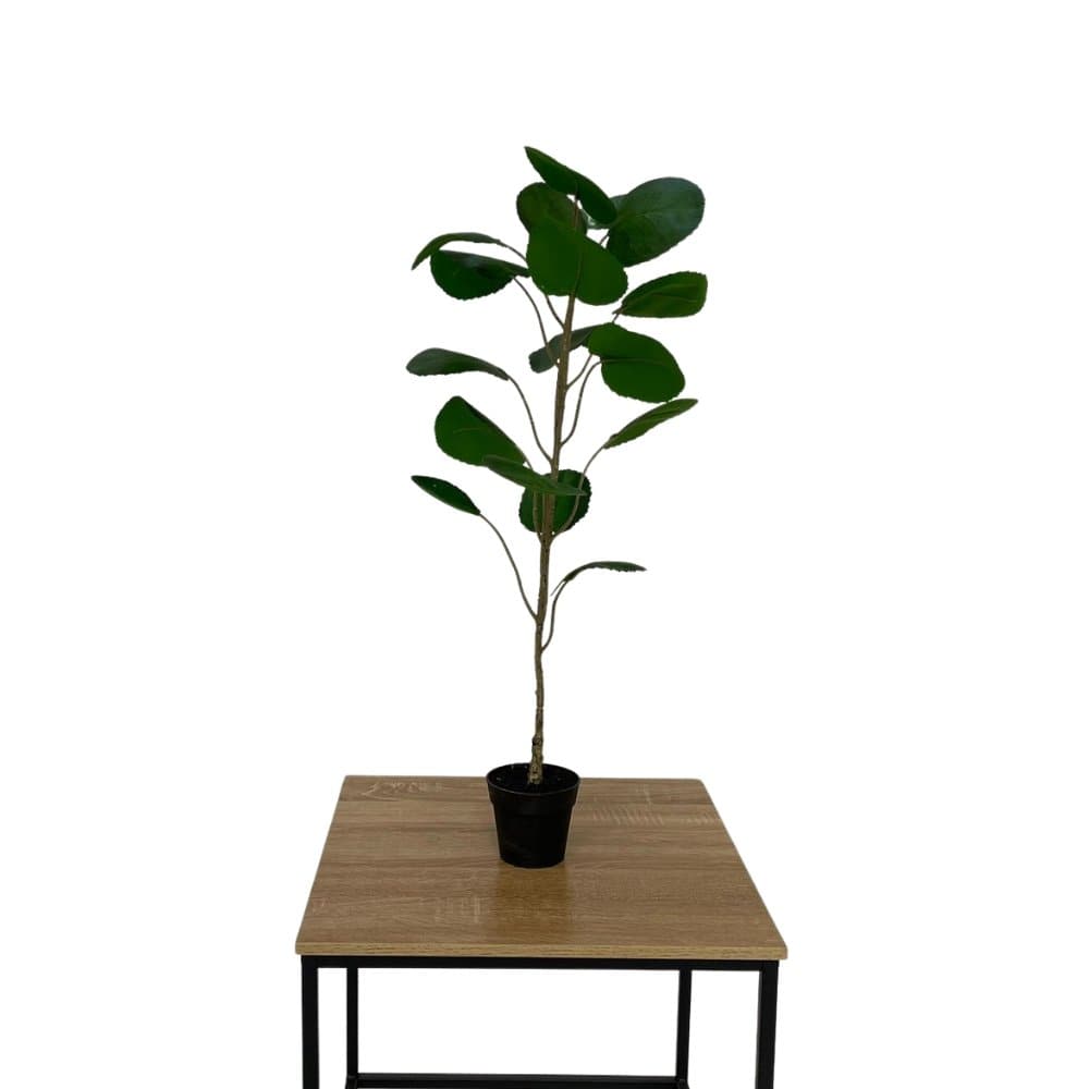 Fabian plante 70 cm - Kunstig plante - Hofstra & Wagner