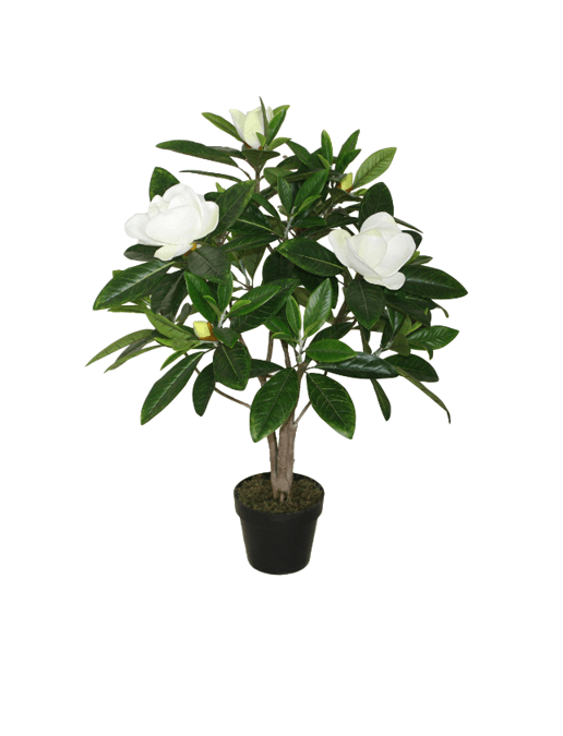 Kunstig Magnoliatræ - 90 cm - Hofstra & Wagner
