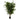 Stuebirk m. 3 stammer 180 cm - Kunstig plante - Hofstra & Wagner