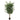 Stuebirk m. 3 stammer 180 cm - Kunstig plante - Hofstra & Wagner