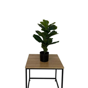 Violin figen plante 50 cm - Kunstig plante - Hofstra & Wagner