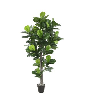 Violinfigen Kunstig plante - 190 cm - Hofstra & Wagner